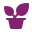 potted-plan